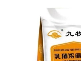 浓缩饲料