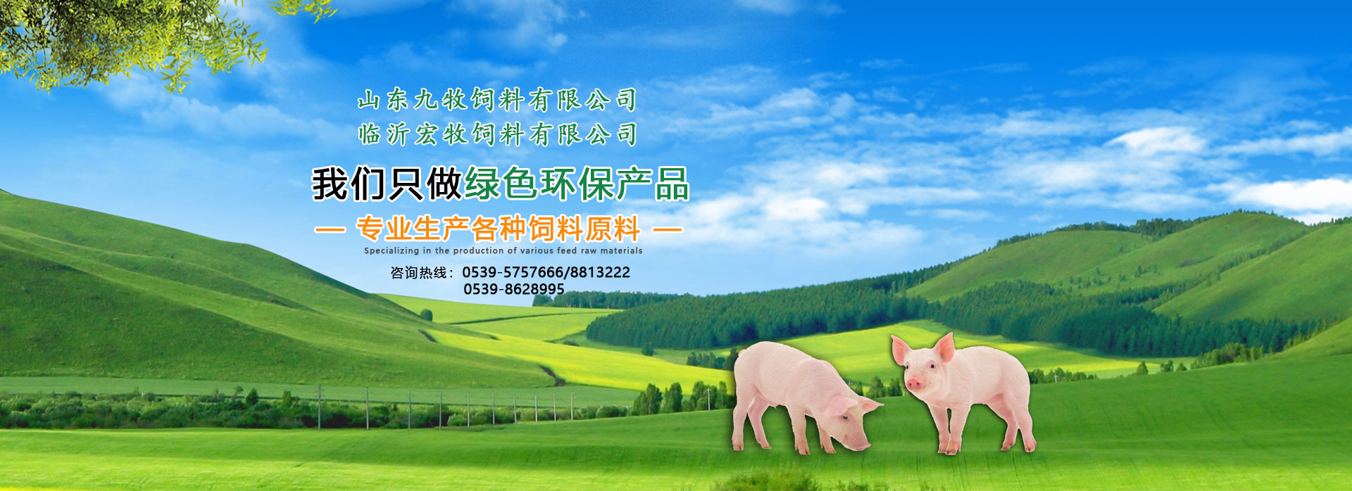 八达国际(中国区) - 官方网站