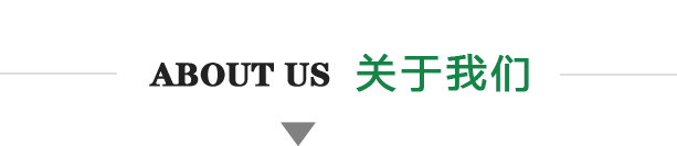 八达国际简介